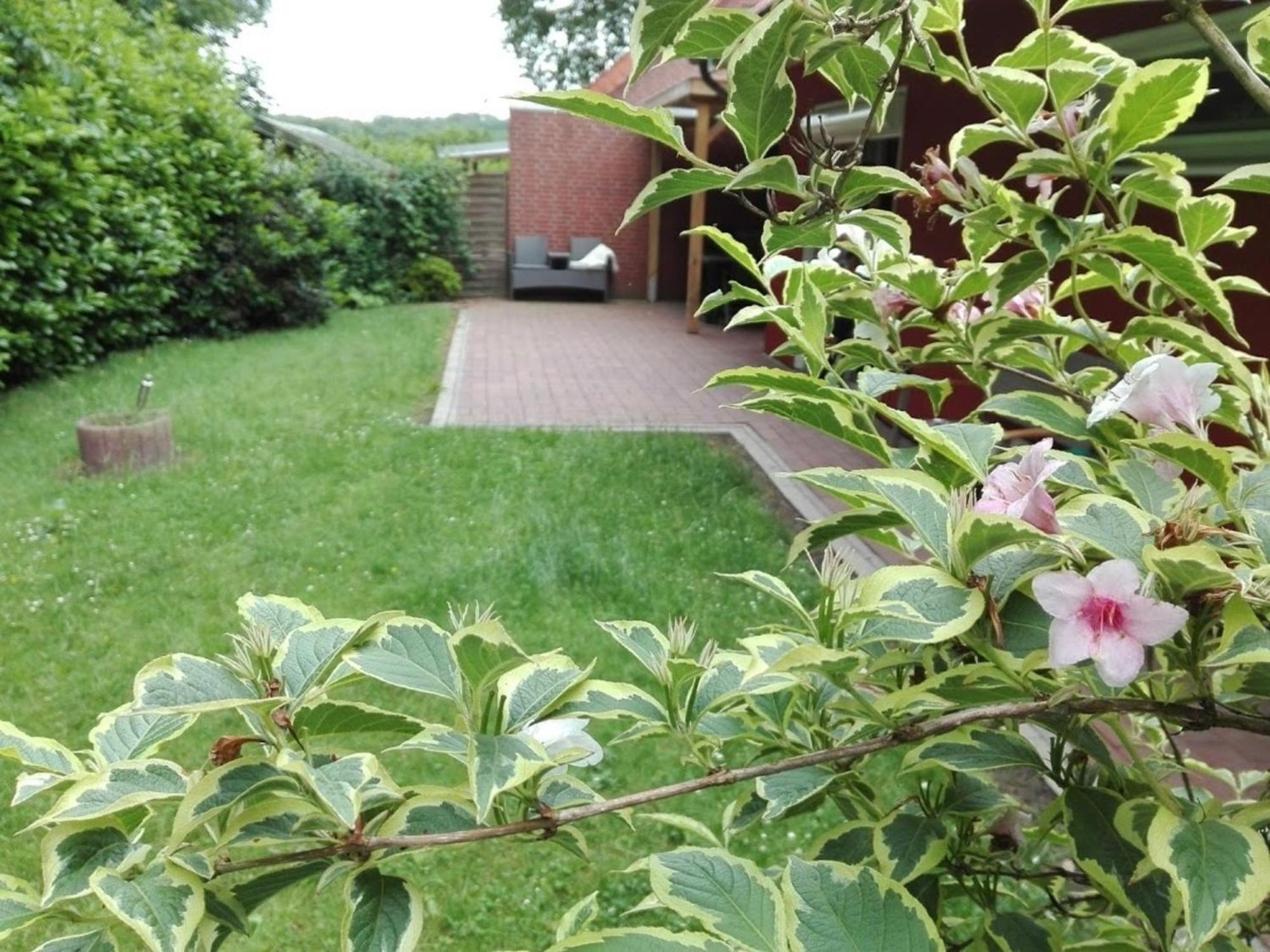 Schwedenhaus Re25 Villa Sögel Buitenkant foto